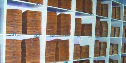 Z6��������ʱ���й������ٷ���վ